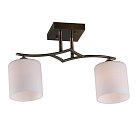 Люстра потолочная Omnilux OML-55317-02 Pisticci