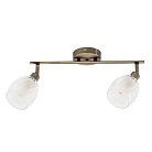 Спот Arte Lamp A3184PL-2AB Biham