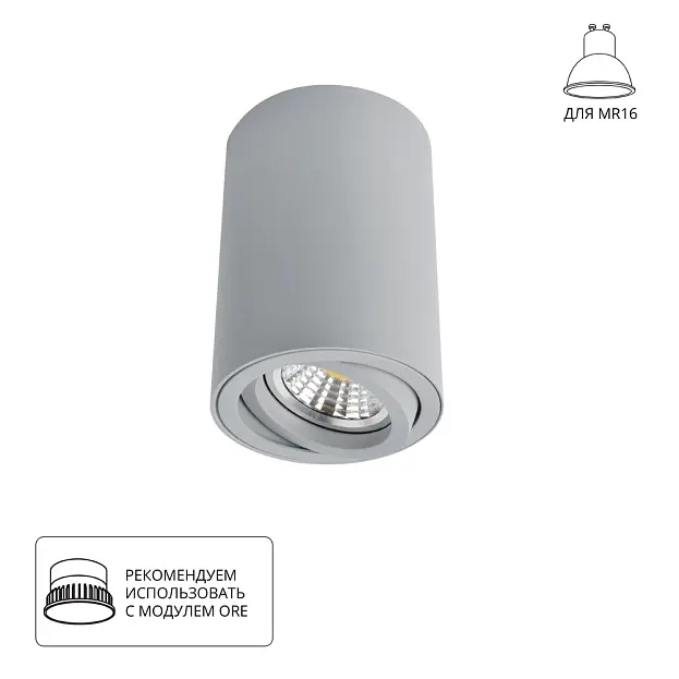 Точечный накладной светильник Arte Lamp A1560PL-1GY SENTRY