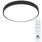 Светильник Потолочный Arte Lamp A2672PL-1BK ARENA