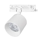 Светильник LGD-DYKE-4TR-R100-36W Day4000 (WH, 20 deg, 230V) Arlight 052148