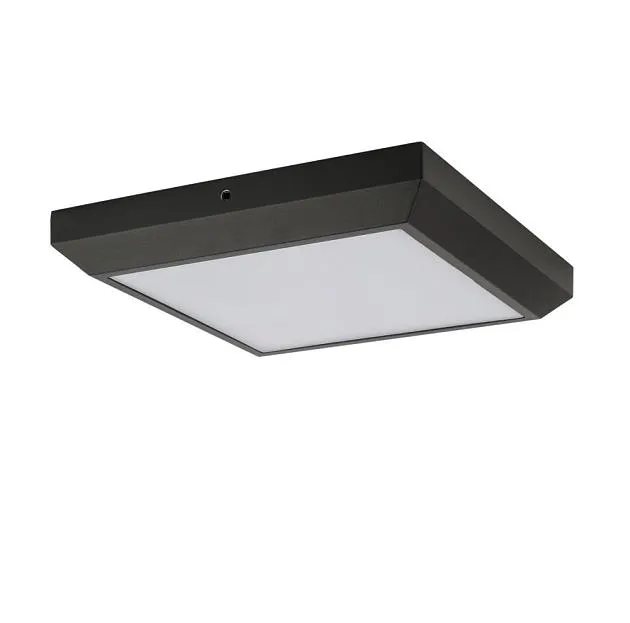Потолочный светильник уличный Oasis Light W1021 Gr SIDNEY LED Потолочный светильник уличный Oasis Light W1021 Gr SIDNEY LED