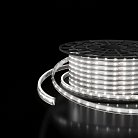 Светодиодная лента Elektrostandard LS014 220V a053638