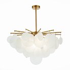 Люстра потолочная ST LUCE SL1231.302.06 Vittoria