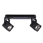 Спот Arte Lamp A1314PL-2BK LENTE