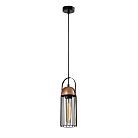Подвесной светильник Rivoli 5062-201 Anemon Б0047359