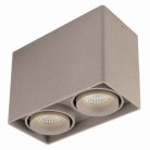 Потолочный светильник Donolux DL18611/02WW-SQ Champagne DL18611
