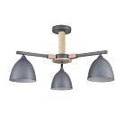 Люстра потолочная Е27 3*60W 220V Lumion 8096/3C COLANGE