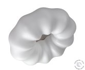 Потолочный светильник с пультом ZORTES ZRS.1118.3 SOFT
