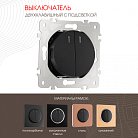 Выключатель двухклавишный с подсветкой, 10AX 250V Arte Milano 202.31-2.black am