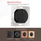 Выключатель двухклавишный с подсветкой, 10AX 250V Arte Milano 202.31-2.black am