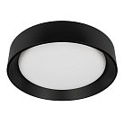 Потолочный светильник Loft IT 10202 BB Coin