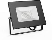 Прожектор Gauss 613100650 Elementary 50W 3200lm IP65