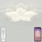 Потолочная люстра Natali Kovaltseva LED LAMPS 81118 EFFECT