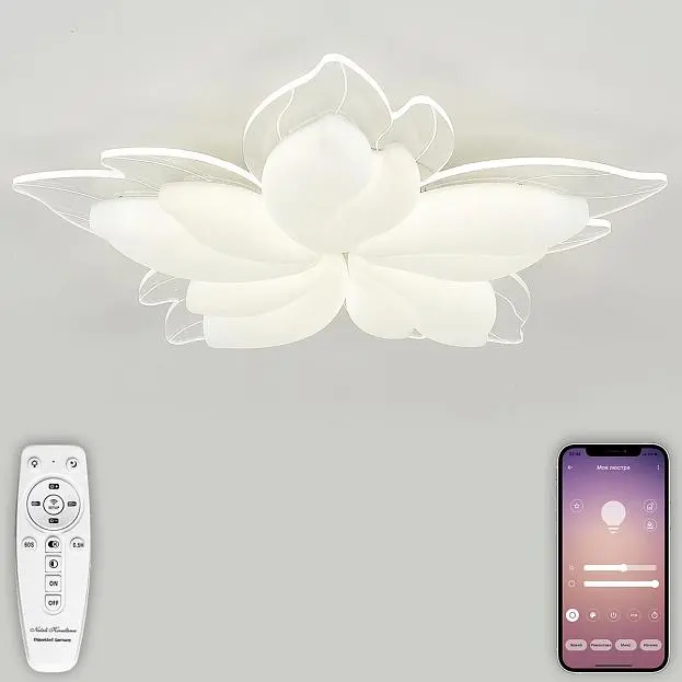 Потолочная люстра Natali Kovaltseva LED LAMPS 81118 EFFECT