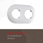 Рамка на 2 поста 502.08-2.silver Arte Milano am