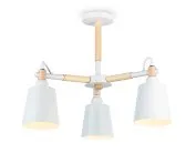Потолочная люстра Ambrella light TR82204 LOFT