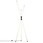 Торшер Citilux CL217961