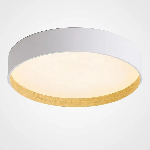 Потолочный светильник NETTY D50 White ImperiumLoft 224020-23 netty01