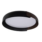 Потолочный светильник Loft IT 10198 Black Coin
