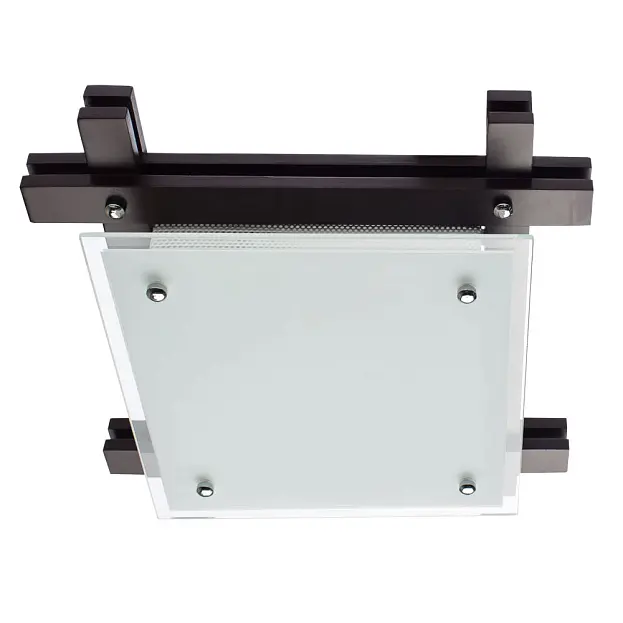 Потолочный светильник Arte Lamp A6462PL-2CK ARCHIMEDE