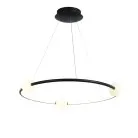 Подвесной светильник Delight Collection MD190001035-1B black MD19001035