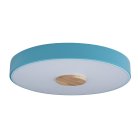 Потолочный светильник Loft It 10003/24 Blue Axel