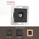 Розетка телефонная RJ11 Arte Milano 203.51-1.black am