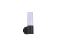 Уличный настенный светильник Donolux DL20472W9DG GELATO