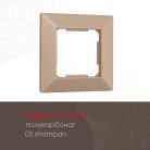 Рамка из поликарбоната на 1 пост Arte Milano 503.03-1.shampan am