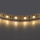 Светодиодная лента Lightstar 400052