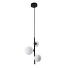 Подвесной светильник Arte Lamp A2243SP-3BK GEMINI