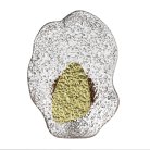 Настенный светильник Odeon light 5460/12WLA CORALLA