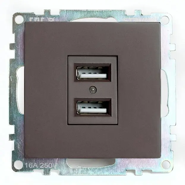 Розетка USB 2-местная (механизм), STEKKER 49027 GLS10-7115-04 Розетка USB 2-местная (механизм), STEKKER 49027 GLS10-7115-04