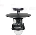 Потолочный светильник уличный Oasis Light 68905A Bl TOKIO 2