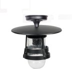 Потолочный светильник уличный Oasis Light 68905A Bl TOKIO 2