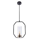 Подвесной светильник Arte Lamp A7004SP-1BK Celaeno