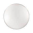 Потолочный светильник Sonex 2051/DLN LEKA