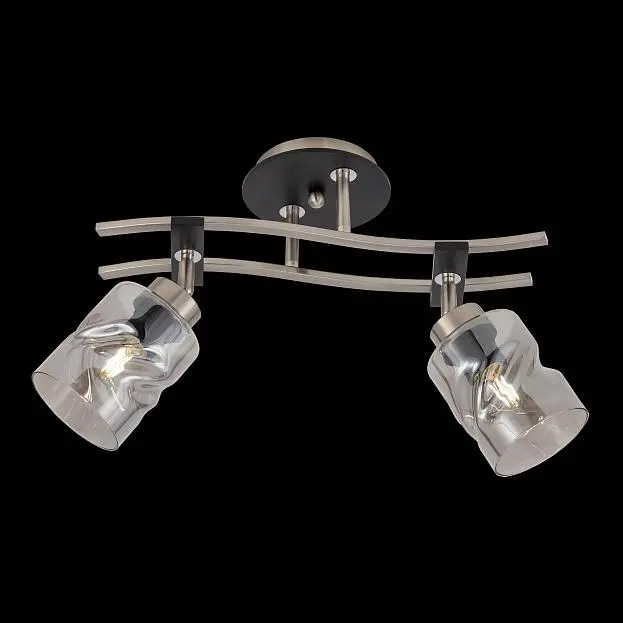 Потолочный светильник Citilux CL142125 Мерида Потолочный светильник Citilux CL142125 Мерида