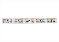 Светодиодная лента Donolux DL-18381/White-24-120 24V диммируемая