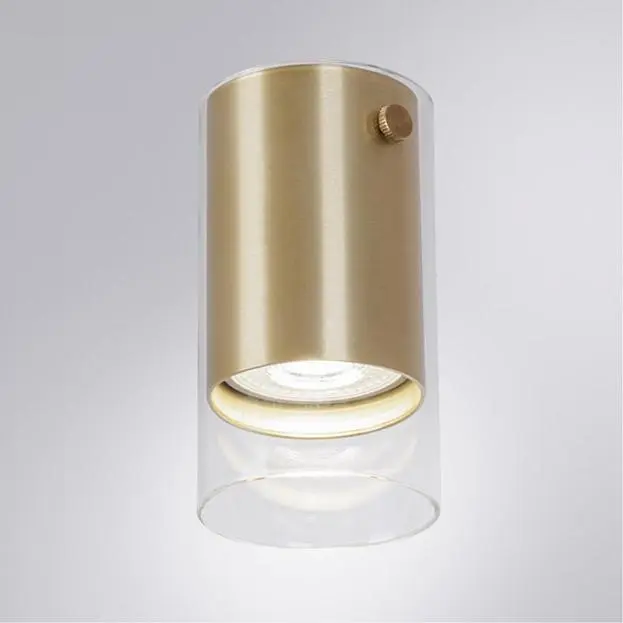 Потолочный светильник Arte Lamp A5365PL-1SG LAZIO Потолочный светильник Arte Lamp A5365PL-1SG LAZIO