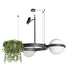 Подвесной светильник Loft IT 10121/2 Dark grey Jardin