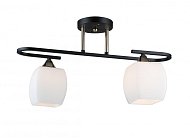 Потолочная люстра Imex MD.5485-2-S-BK+FGD