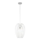 Подвесной светильник Loft IT 10031 White Deseno