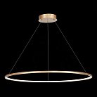 Светильник подвесной ST LUCE ST603.243.46 ST603 IN
