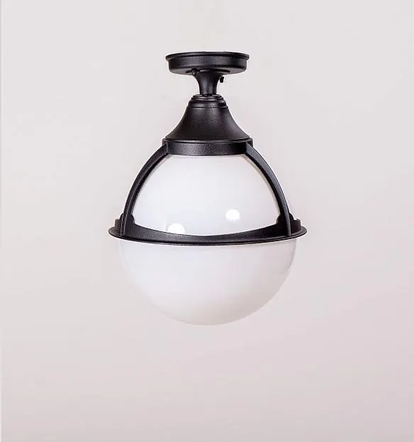 Потолочный светильник уличный Oasis Light 88105A Bl GENOVA