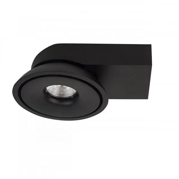 Влагозащищенный светильник LeDron ORBIT SLIM Black Влагозащищенный светильник LeDron ORBIT SLIM Black