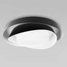 Потолочный светильник LOFT IT 10256 Black Petale