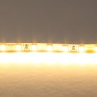 Лента теплого белого свечения 24V Lightstar 420503