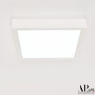 Светильник накладной светодиодный APL LED 3322.LDF1604M/12W/6K Ingrid